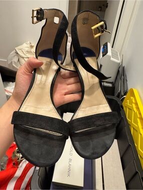 Stuart Weitzman Black Suede Ankle-Strap Sandals - Women